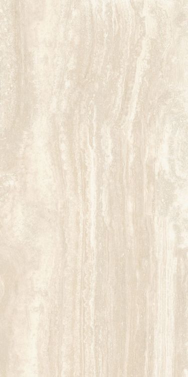 Appia Vein Cut Ivory Matte 24 x 48
